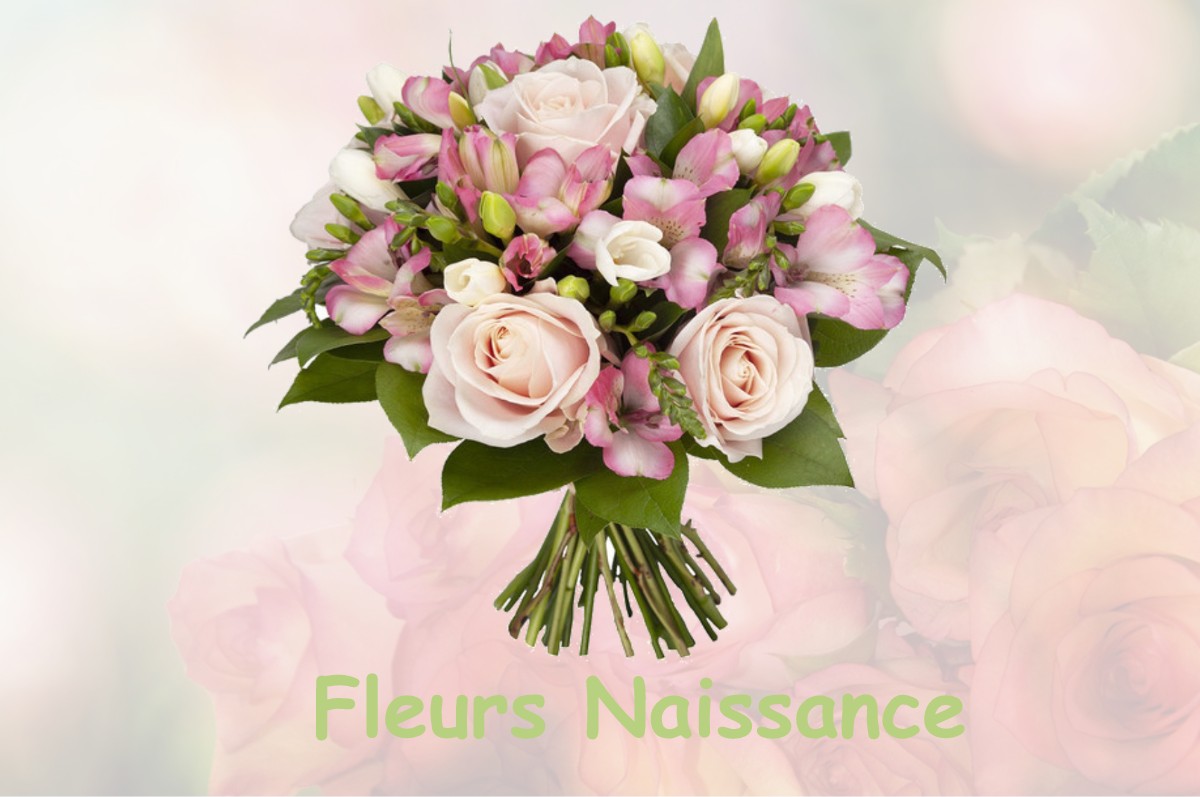 fleurs naissance SAINT-MARC-LE-BLANC